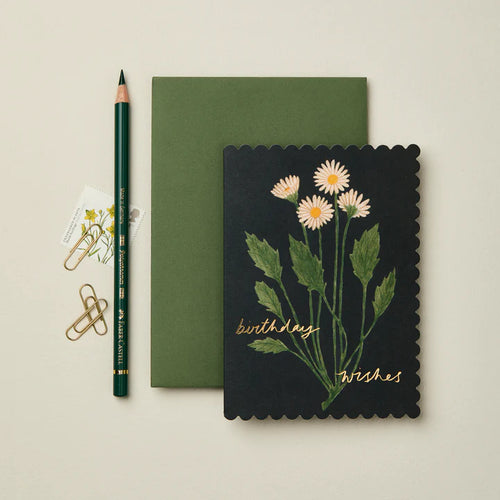 Botanical Daisy Birthday Wishes Greetings Card