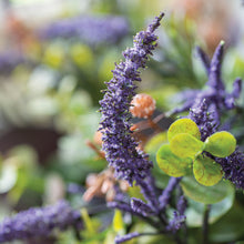 Load image into Gallery viewer, Veronica Eucalyptus &amp; Cotinus Bouquet
