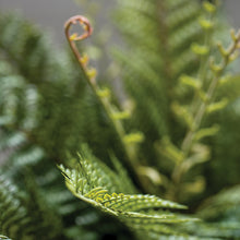 Load image into Gallery viewer, Faux Potted Fern
